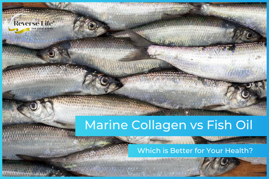Marine Collagen vs Fish Oil: Which is Better for Your Health?