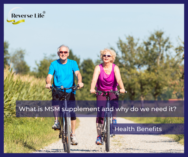 What is MSM supplement and why do we need it?