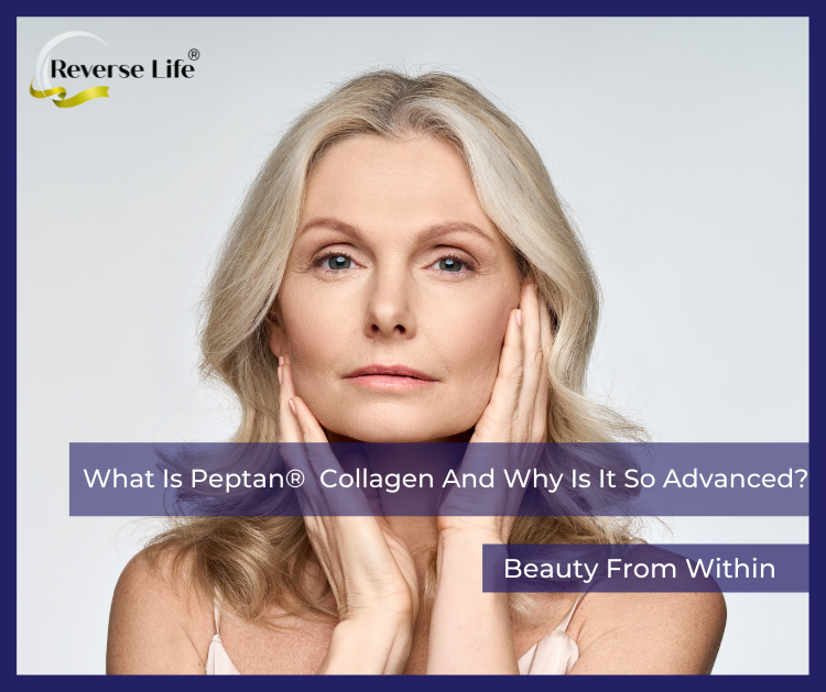 What Is Peptan® Collagen And Why Is It So Advanced?
