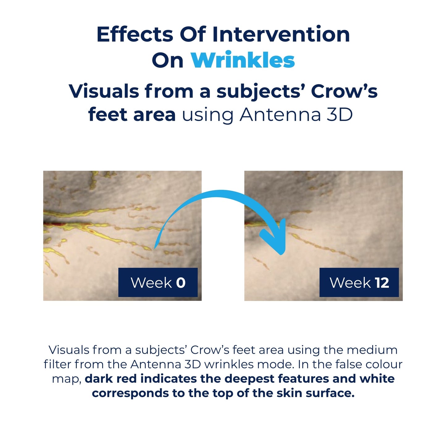 Marine Collagen Original Formula