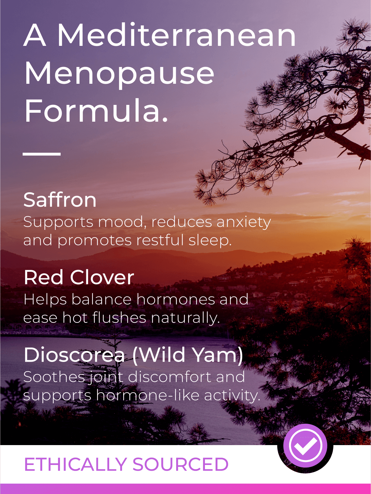 MenoPaused