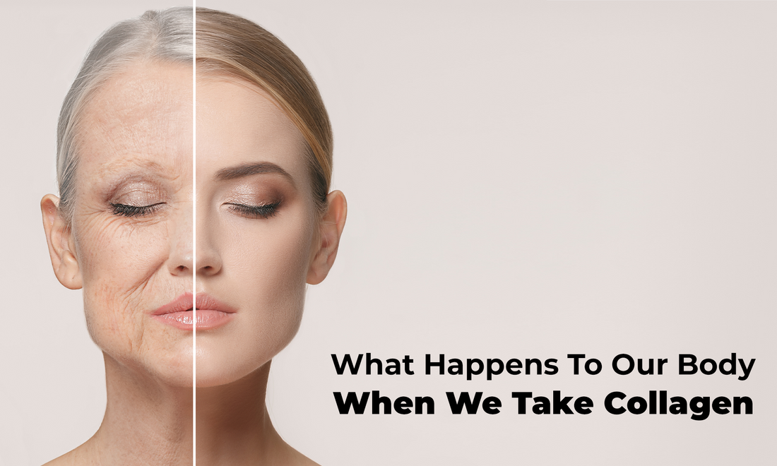 What Happens To Our Body When We Take Collagen?