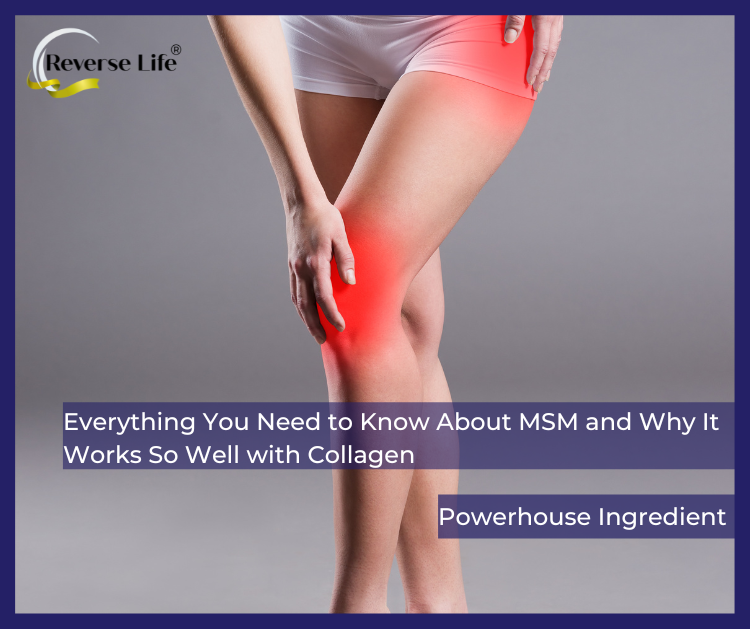 Everything You Need to Know About MSM and Why It Works So Well with Collagen
