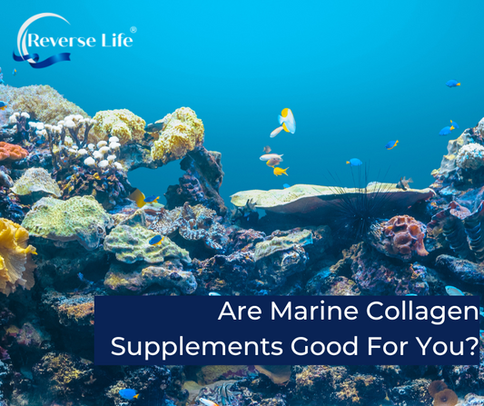 Are Marine Collagen Supplements Good For You?