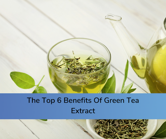 The Top 6 Benefits Of Green Tea Extract