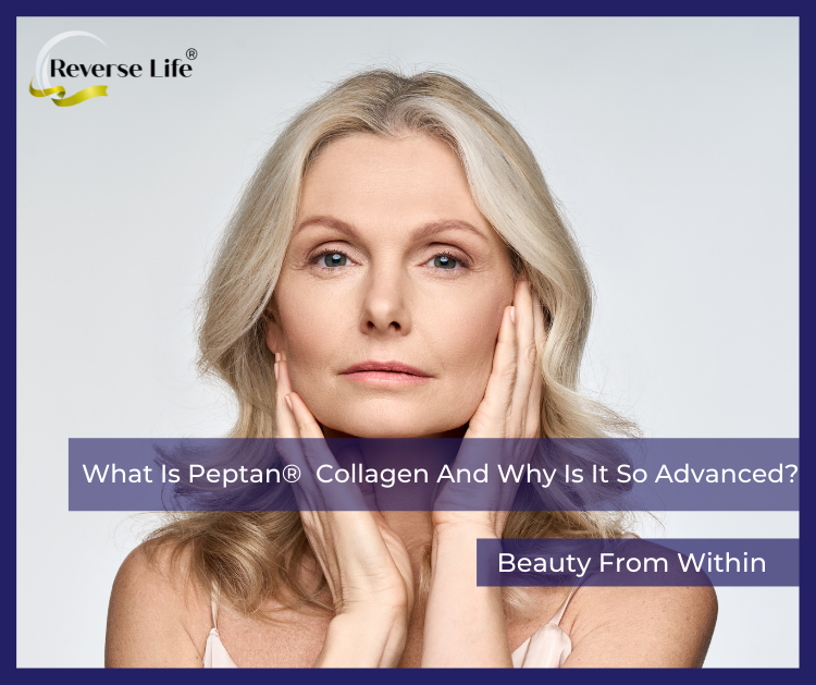 What Is Peptan®  Collagen And Why Is It So Advanced?