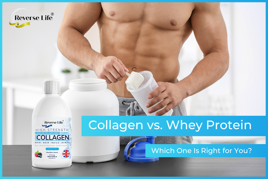 Collagen vs. Whey Protein: Which One Is Right for You?