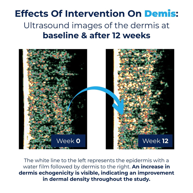 High Strength Liquid Marine Collagen