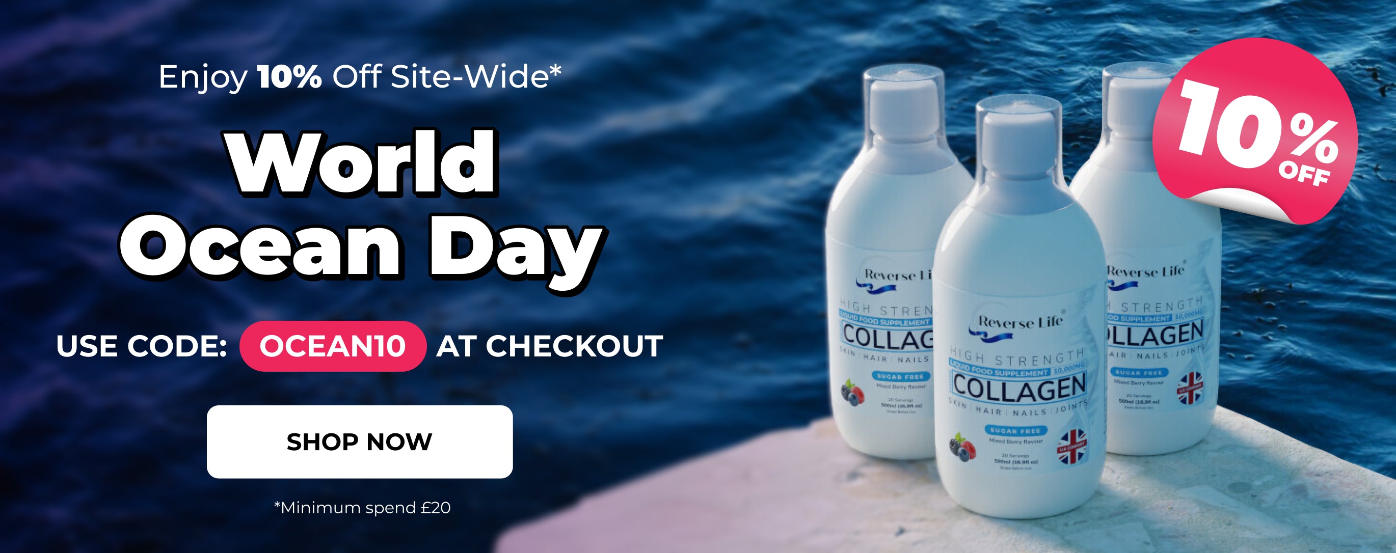 World Ocean Day